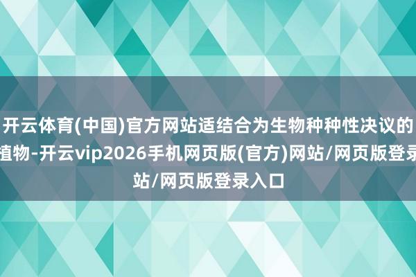 开云体育(中国)官方网站适结合为生物种种性决议的模式植物-开云vip2026手机网页版(官方)网站/网页版登录入口